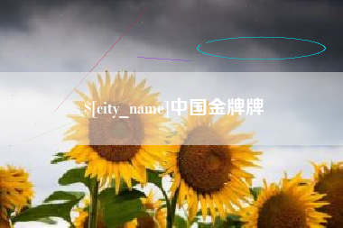 安达中国金牌牌