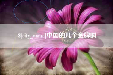 安达中国的几个金牌啊
