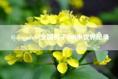 安达全国男子5000米世界纪录