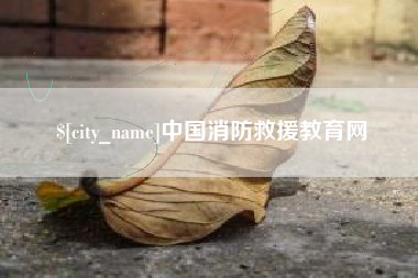 安达中国消防救援教育网