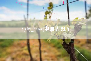 安达中国队 冠军