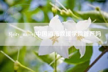 安达中国消防救援学院管严吗