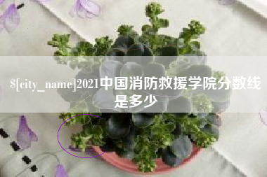 安达2021中国消防救援学院分数线是多少