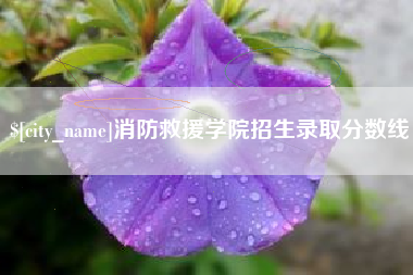 安达消防救援学院招生录取分数线
