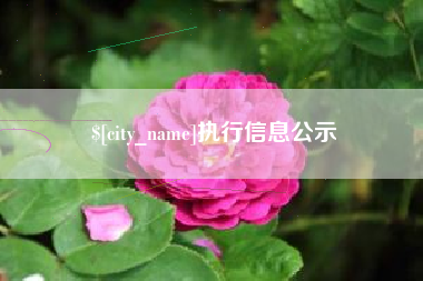 安达执行信息公示