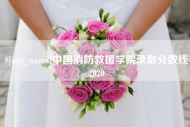 安达中国消防救援学院录取分数线2020