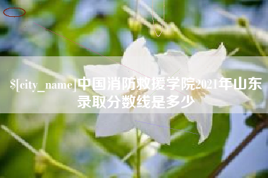 安达中国消防救援学院2021年山东录取分数线是多少