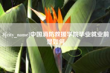 安达中国消防救援学院毕业就业前景如何