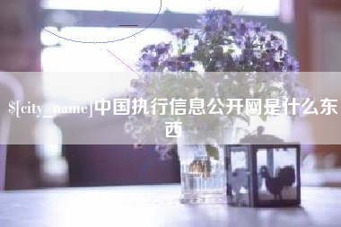 安达中国执行信息公开网是什么东西