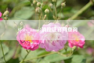 安达消控证官网查询