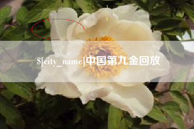 安达中国第九金回放