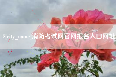 安达消防考试网官网报名入口网址