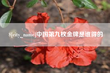 安达中国第九枚金牌是谁得的