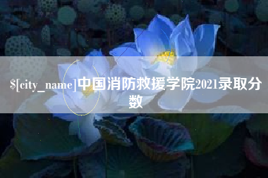 安达中国消防救援学院2021录取分数