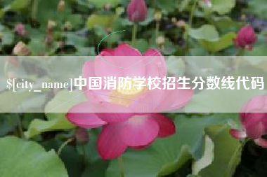 安达中国消防学校招生分数线代码