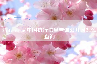 安达中国执行信息查询公开网怎么查询