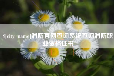 安达消防官网查询系统查询消防职业资格证书