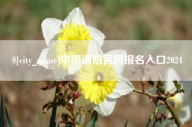 安达中国消防官网报名入口2024