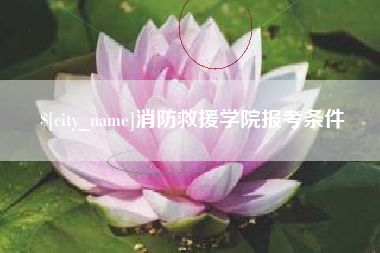 安达消防救援学院报考条件