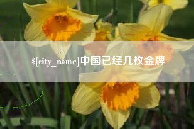 安达中国已经几枚金牌