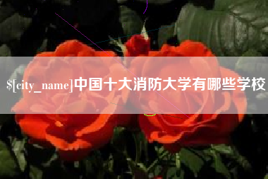 安达中国十大消防大学有哪些学校