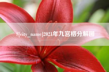 安达2021年九宫格分解图