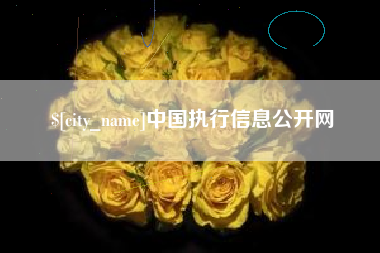 安达中国执行信息公开网