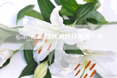 安达森林消防日是哪一天