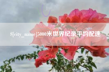安达5000米世界纪录平均配速