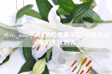 安达中国消防救援学院2020年在山东招生计划表