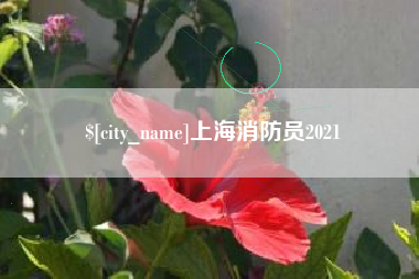 安达上海消防员2021