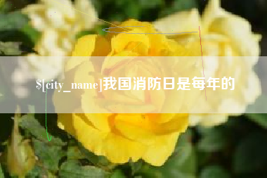 安达我国消防日是每年的