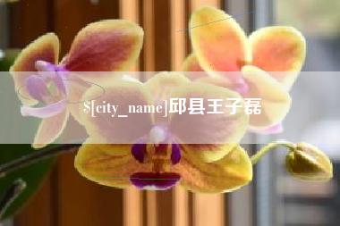 安达邱县王子磊