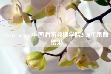 安达中国消防救援学院2020年录取结果