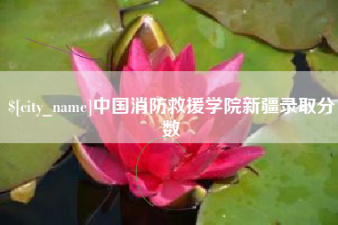 安达中国消防救援学院新疆录取分数