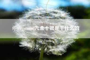 安达九金十银是干什么的