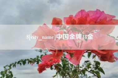 安达中国金牌18金