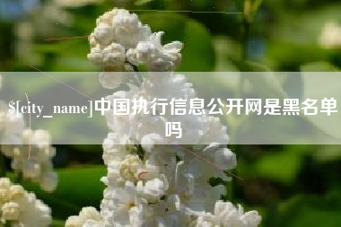 安达中国执行信息公开网是黑名单吗