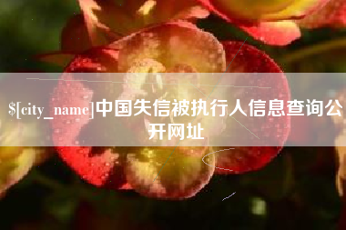 安达中国失信被执行人信息查询公开网址