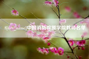 安达中国消防救援学院教师名单