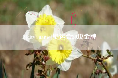 安达奥运会39块金牌