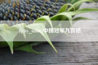 安达中国冠军九宫格