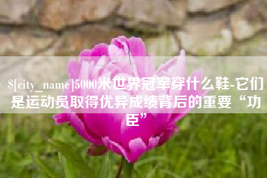 安达5000米世界冠军穿什么鞋-它们是运动员取得优异成绩背后的重要“功臣”