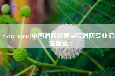 安达中国消防救援学院消防专业招生简章