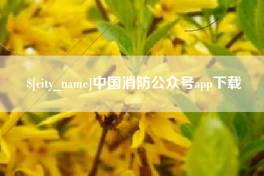 安达中国消防公众号app下载