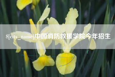 安达中国消防救援学院今年招生