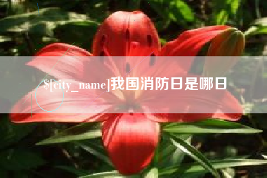 安达我国消防日是哪日