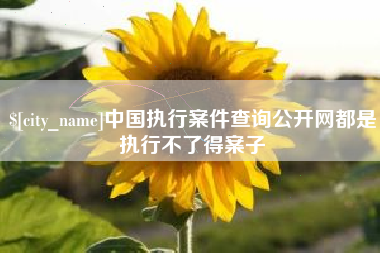 安达中国执行案件查询公开网都是执行不了得案子