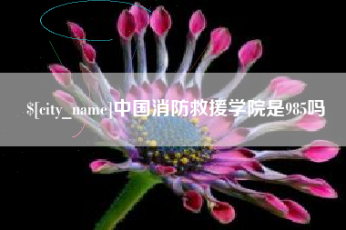 安达中国消防救援学院是985吗