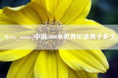 安达中国5000米世界纪录男子多少